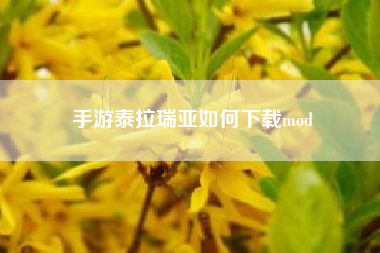手游泰拉瑞亚如何下载mod