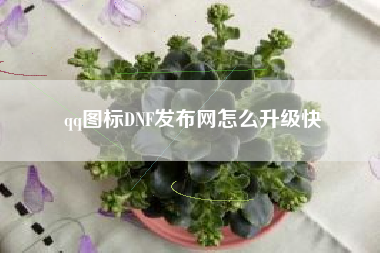 qq图标DNF发布网怎么升级快