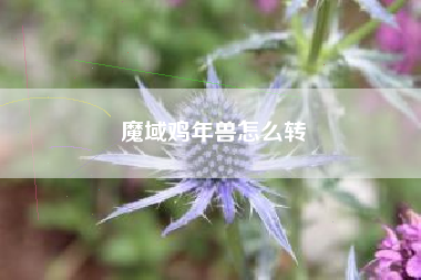 魔域鸡年兽怎么转