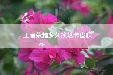 王者荣耀多久换塔卡皮肤