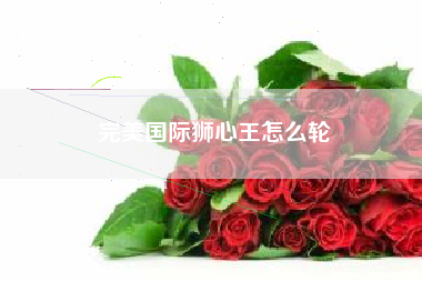 完美国际狮心王怎么轮