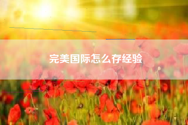 完美国际怎么存经验