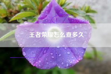 王者荣耀怎么查多久