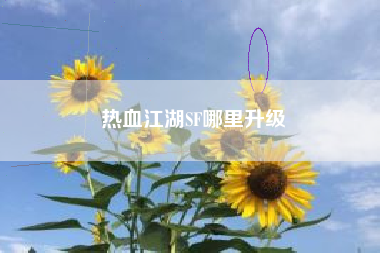 热血江湖SF哪里升级