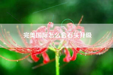 完美国际怎么合石头升级