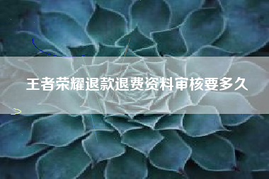 王者荣耀退款退费资料审核要多久