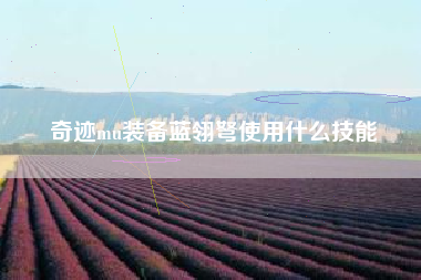 奇迹mu装备蓝翎弩使用什么技能