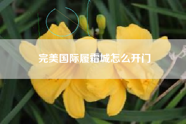 完美国际履霜城怎么开门