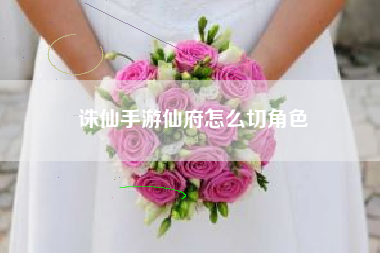诛仙手游仙府怎么切角色