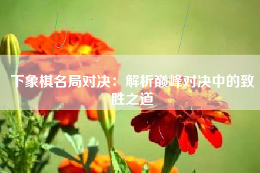 下象棋名局对决：解析巅峰对决中的致胜之道