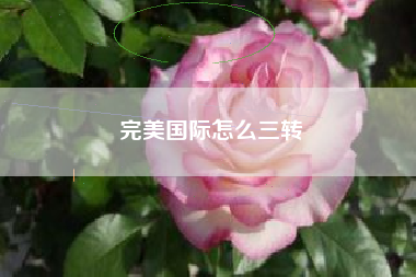 完美国际怎么三转