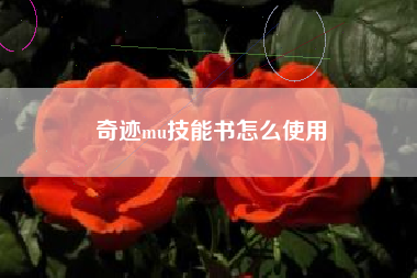 奇迹mu技能书怎么使用