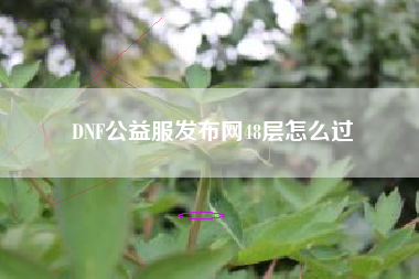 DNF公益服发布网48层怎么过