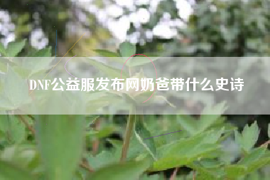 DNF公益服发布网奶爸带什么史诗