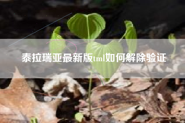 泰拉瑞亚最新版tml如何解除验证