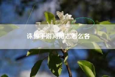 诛仙手游河阳志怎么各