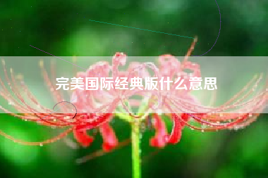完美国际经典版什么意思
