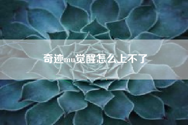 奇迹mu觉醒怎么上不了
