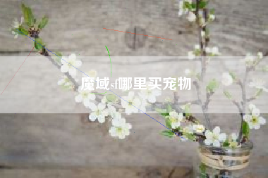 魔域sf哪里买宠物