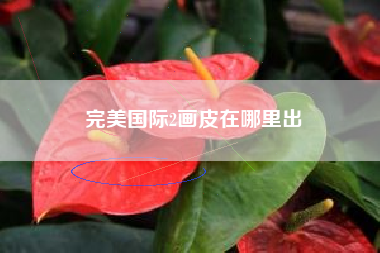 完美国际2画皮在哪里出