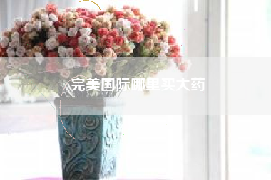 完美国际哪里买大药