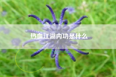 热血江湖内功是什么