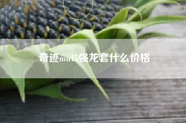 奇迹mu15强龙套什么价格
