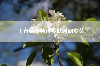 王者荣耀特价皮肤时间多久
