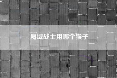 魔域战士用哪个猴子