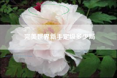 完美世界新手定级多少局