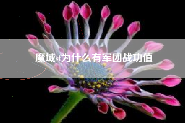 魔域sf为什么有军团战功值