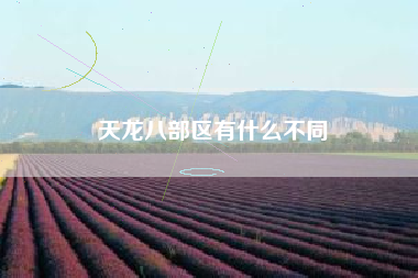 天龙八部区有什么不同