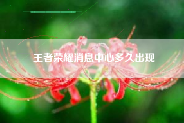 王者荣耀消息中心多久出现