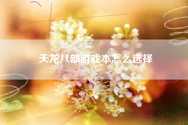 天龙八部游戏本怎么选择