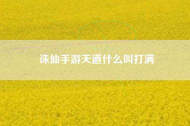 诛仙手游天道什么叫打满