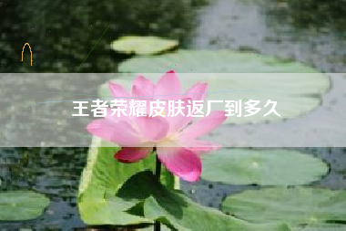 王者荣耀皮肤返厂到多久