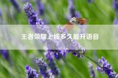 王者荣耀上线多久能开语音