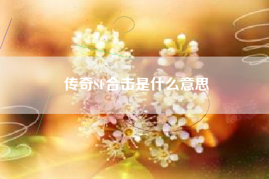 传奇SF合击是什么意思