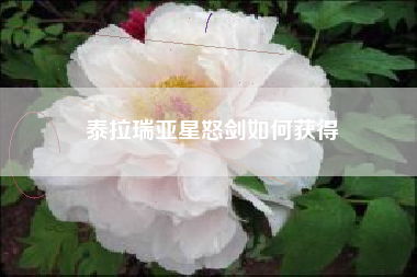 泰拉瑞亚星怒剑如何获得
