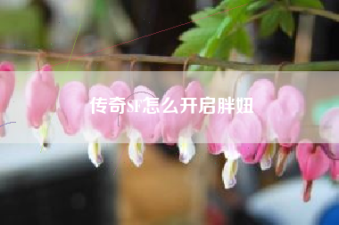 传奇SF怎么开启胖妞