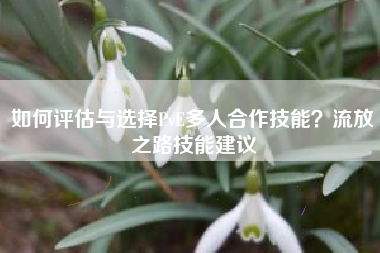 如何评估与选择PvE多人合作技能？流放之路技能建议