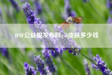 DNF公益服发布网gsd皮肤多少钱