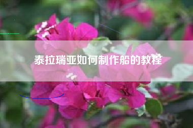 泰拉瑞亚如何制作船的教程