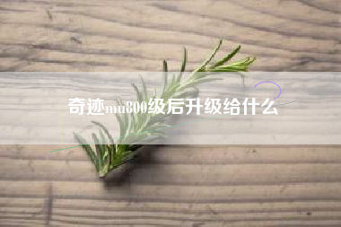 奇迹mu800级后升级给什么
