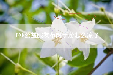 DNF公益服发布网手游怎么凉了
