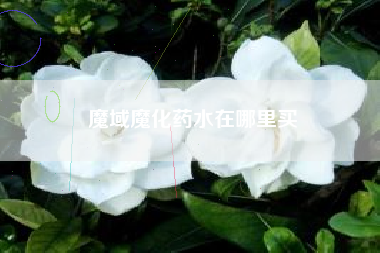 魔域魔化药水在哪里买