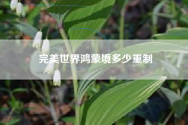 完美世界鸿蒙境多少重制
