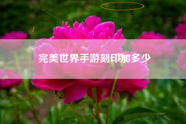完美世界手游刻印加多少