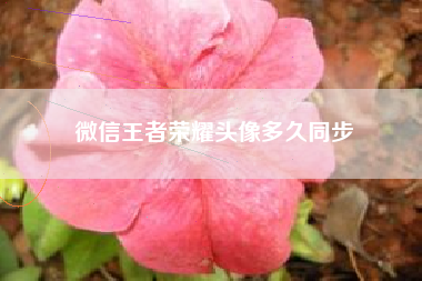 微信王者荣耀头像多久同步