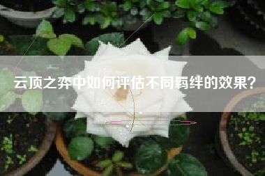 云顶之弈中如何评估不同羁绊的效果？